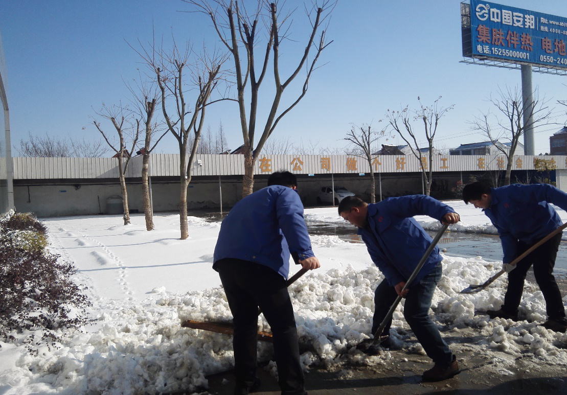 安邦電氣組織員工開展義務(wù)清雪活動(圖2)